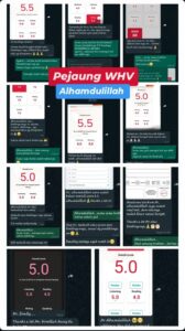 whatsapp image 2026 01 22 at 18.12.25 (1)