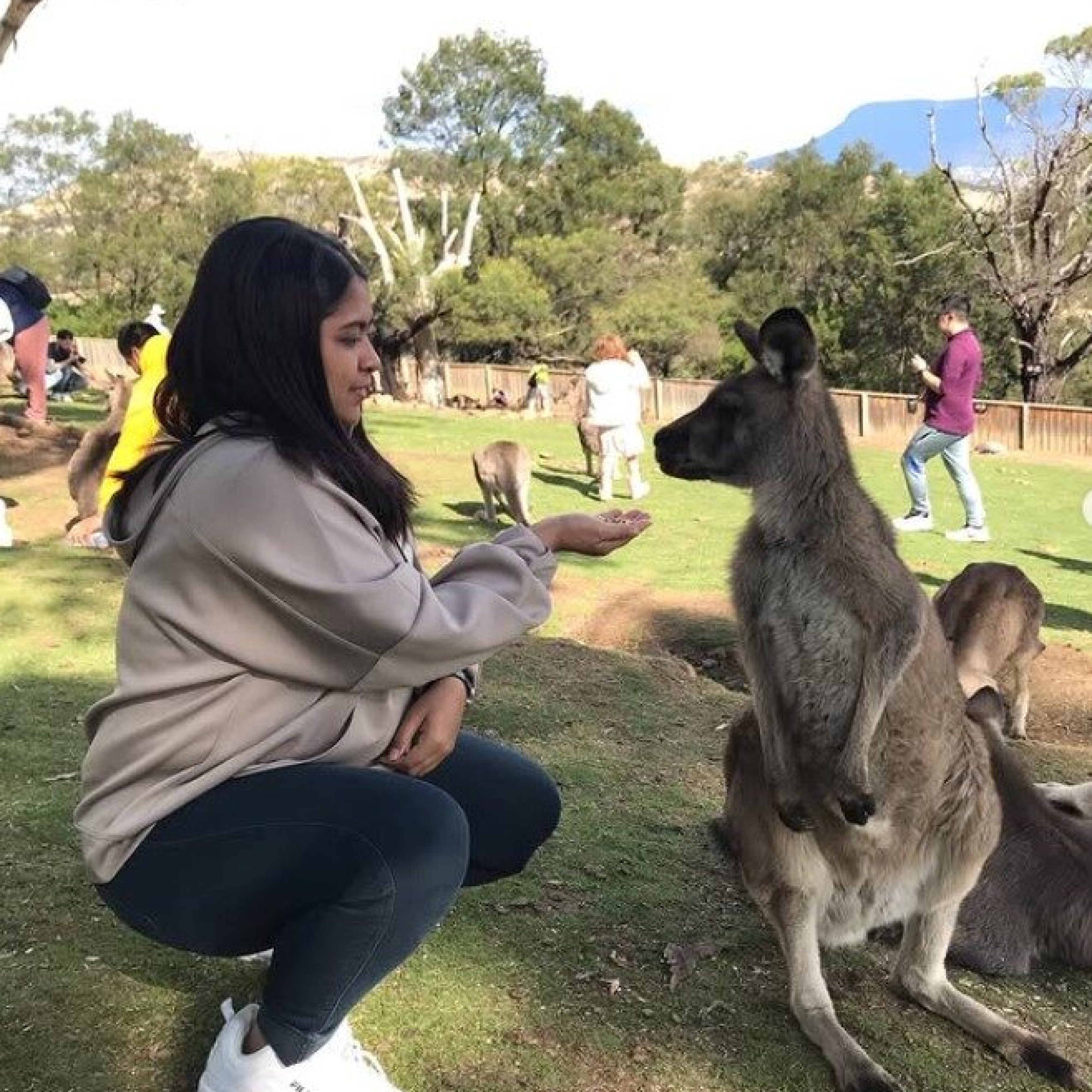 Home screenshot 2026 01 28 113057